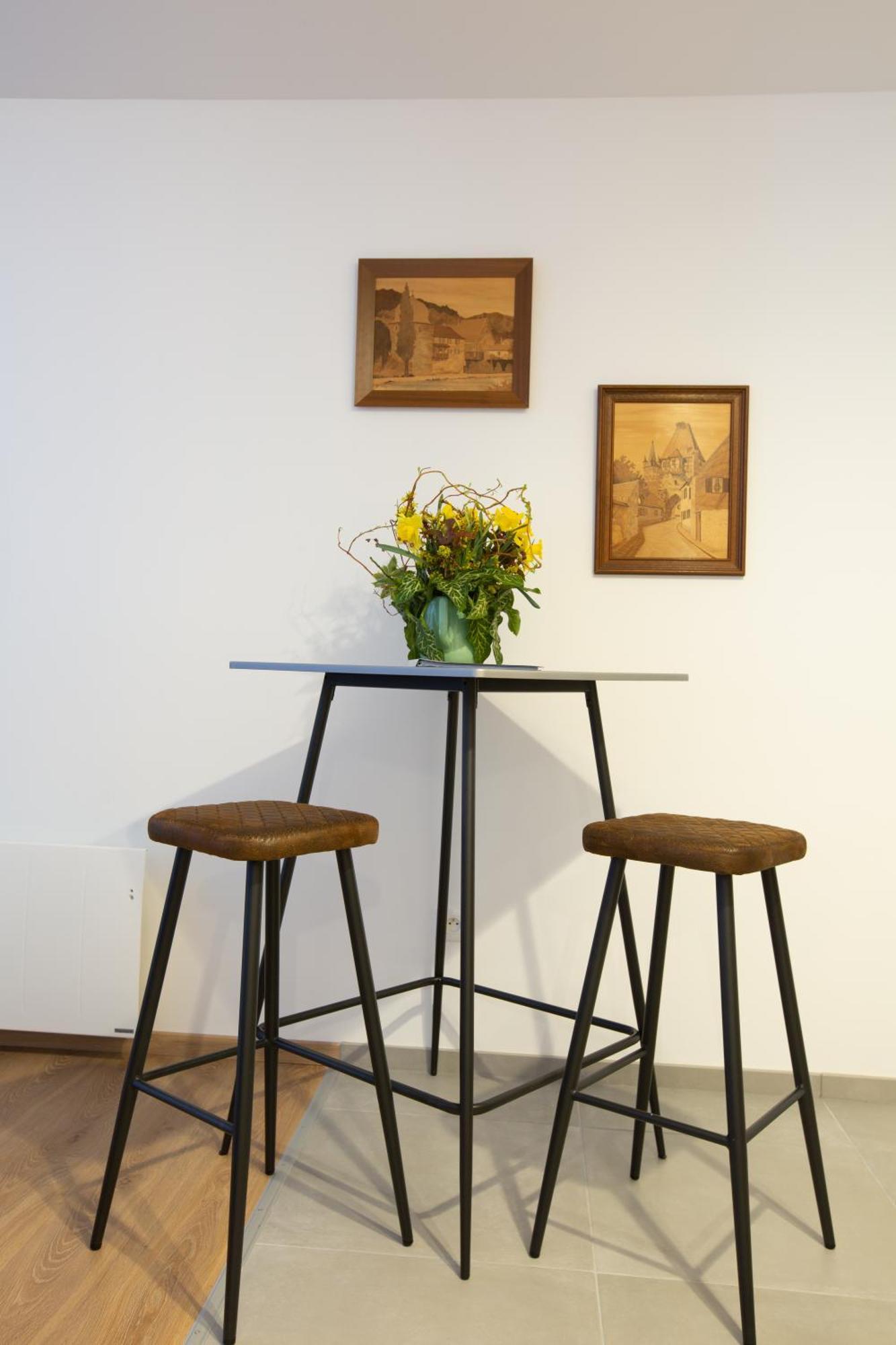Le Rhenanus Jacques Taurellus - Appartement Duplex Au Calme - Centre Ville - Parking Gratuit Sélestat Εξωτερικό φωτογραφία